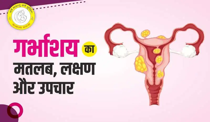 Uterus Meaning in Hindi गर्भाशय क्या है लक्षण एवं उपचार की जानकारी